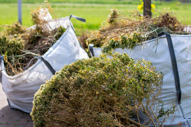 Best Affordable Junk Removal Services  in Powell, WY